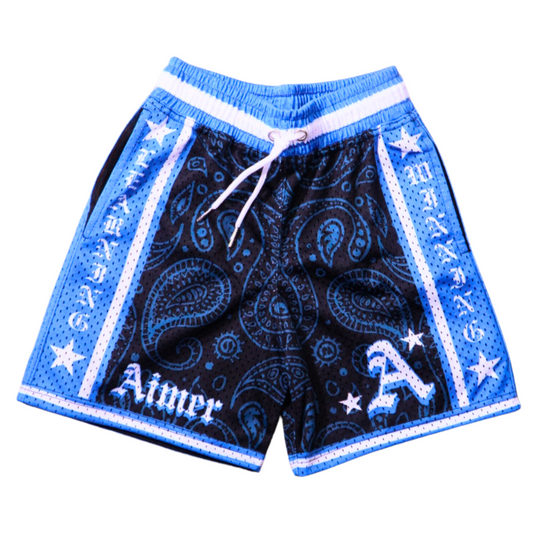 WINNERS LEARNERS BLUE MESH SHORT